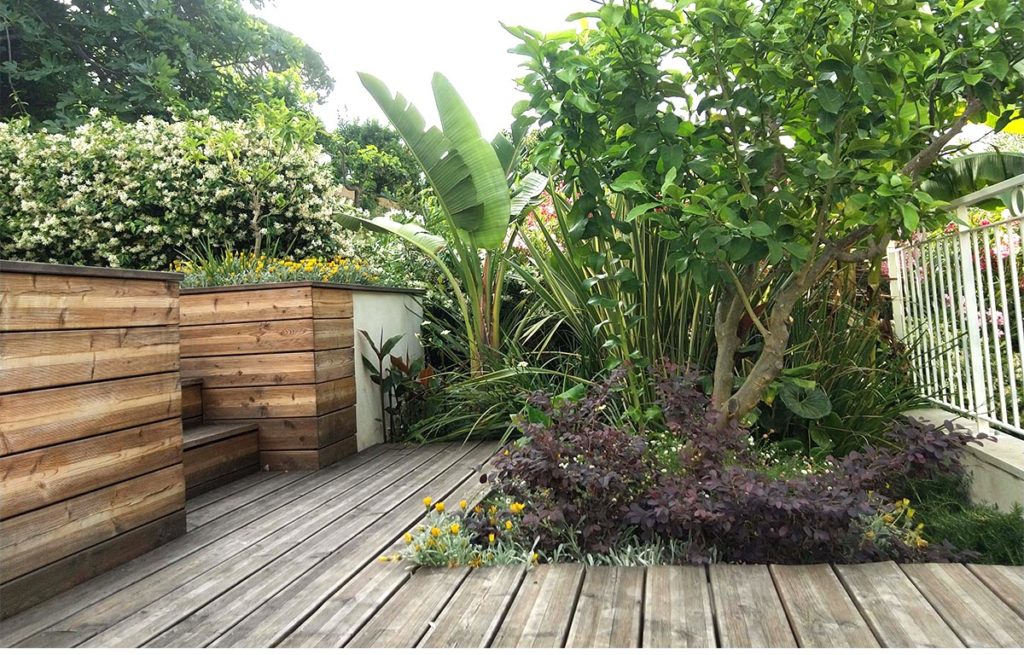 MelezePlan de travail 1 copie 2